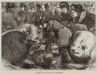 Eine Skizze auf der Viehschau, Birmingham